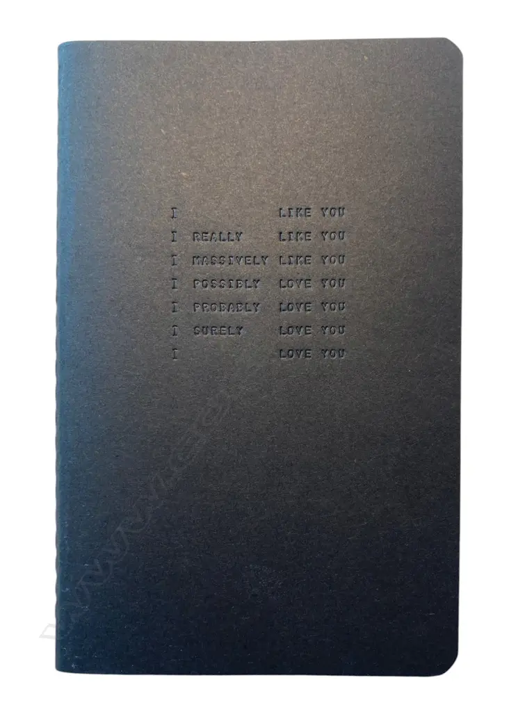 Solomon Mortimer (1991-)/Zahra Killeen-Chance, I like you - ...', Image 1++